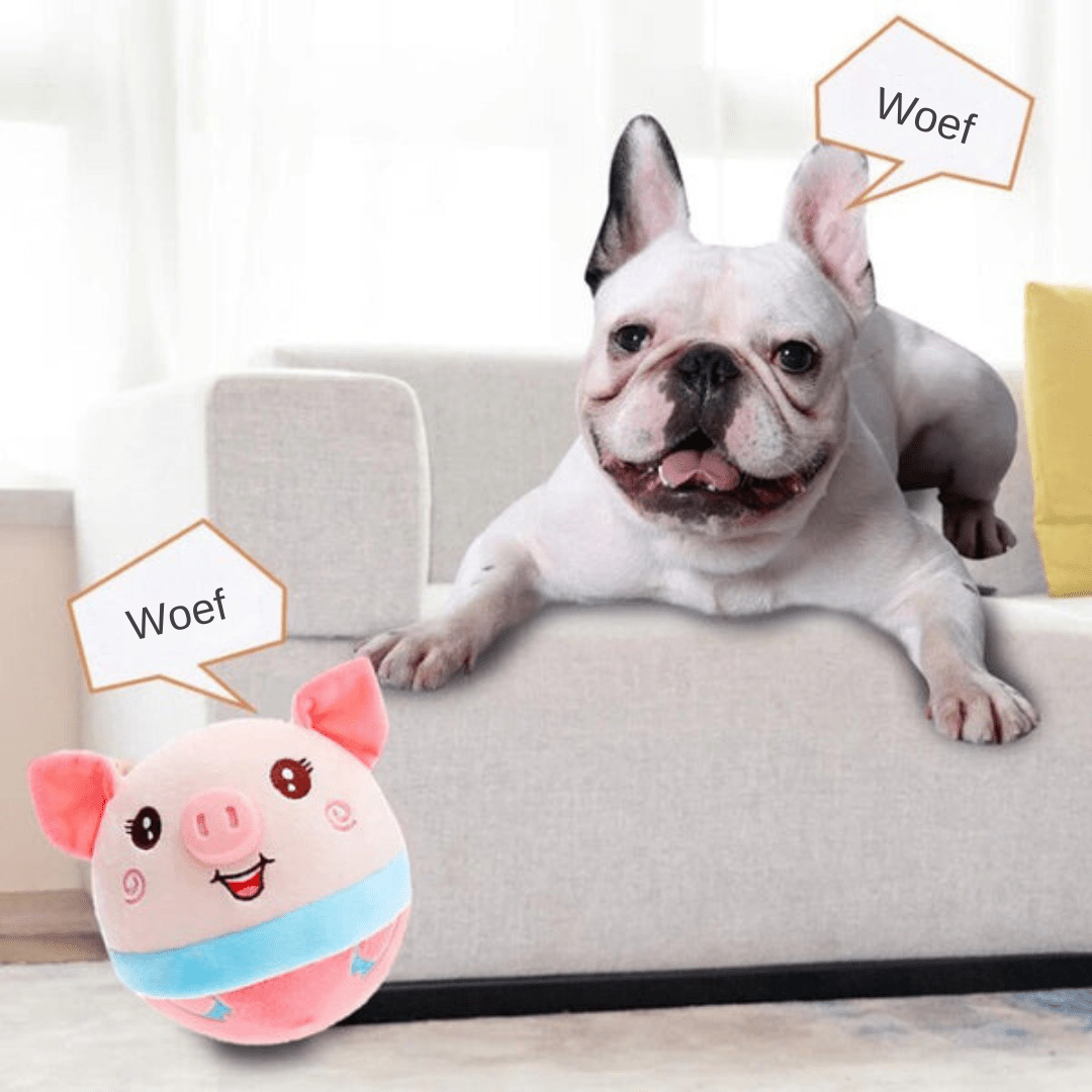 Motion Ball for Clever & Active Dogs