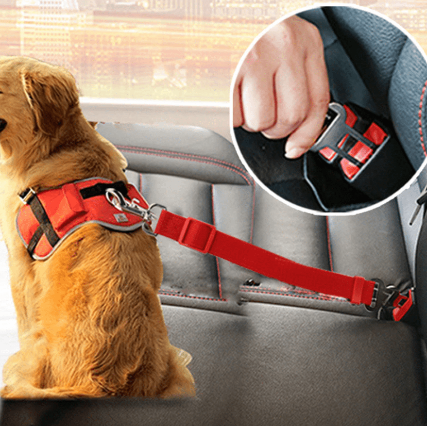 Adjustable Safety Belt for Dogs in the Car