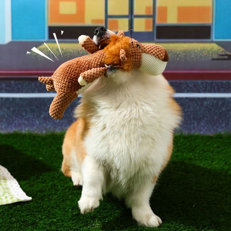 Durable Chew Toy for Active Dogs - Perfect for Entertainment