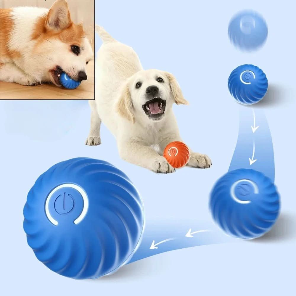 Smart Play Ball with Automatic Movement for Active Dogs
